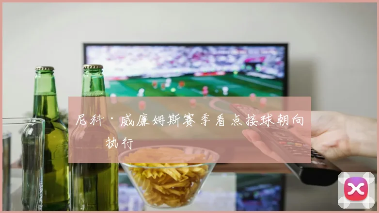 尼科·威廉姆斯赛季看点接球朝向看执行